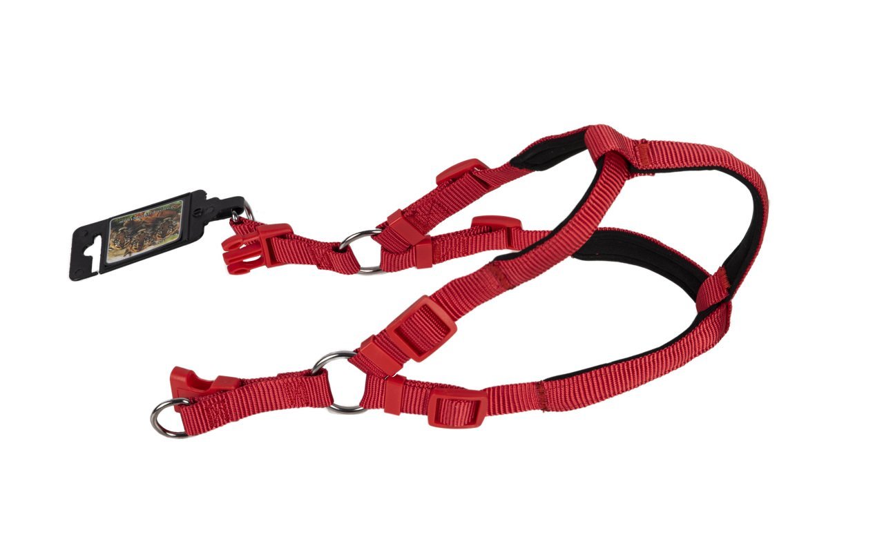 Lion-1031-20 L Göğüs Tasması Soft