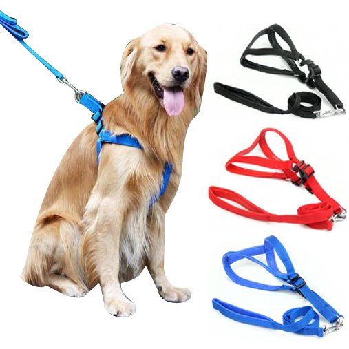 Lion-1031A-25 Xxl Göğüs Takım Tasm