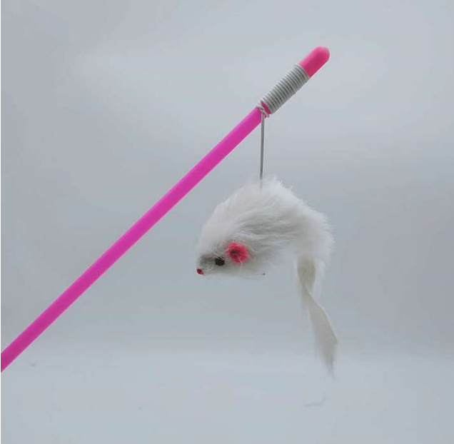LN1024 Kedi Oltası