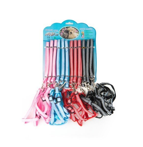Lion-81041 12 Li Köpek Göğüs Takım Tasması