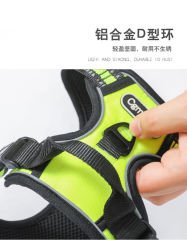 RX001 Gögüs Tasması XS 35-45cm