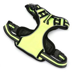 RX001 Gögüs Tasması XS 35-45cm