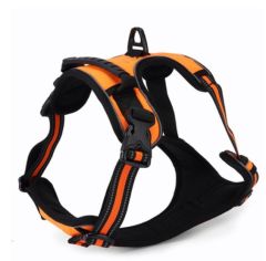 RX001 Gögüs Tasması XS 35-45cm