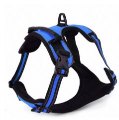 RX002 Gögüs Tasması S 43-53cm