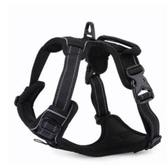 RX003 Gögüs Tasması M 53-63cm