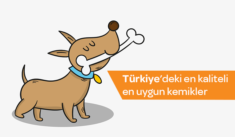 Köpek Kemikleri