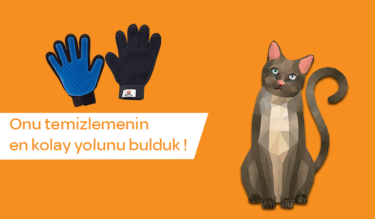 Kedi Temizleme